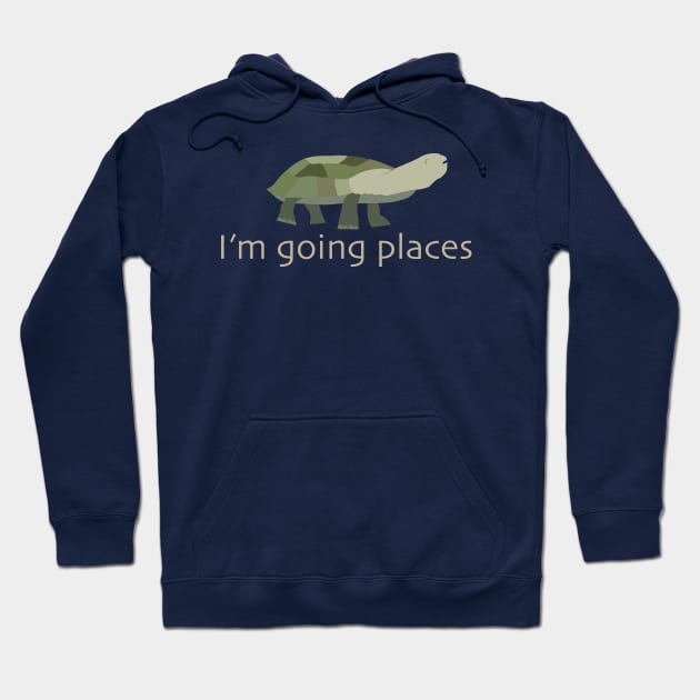 I'm Going Places Hoodie by Statewear